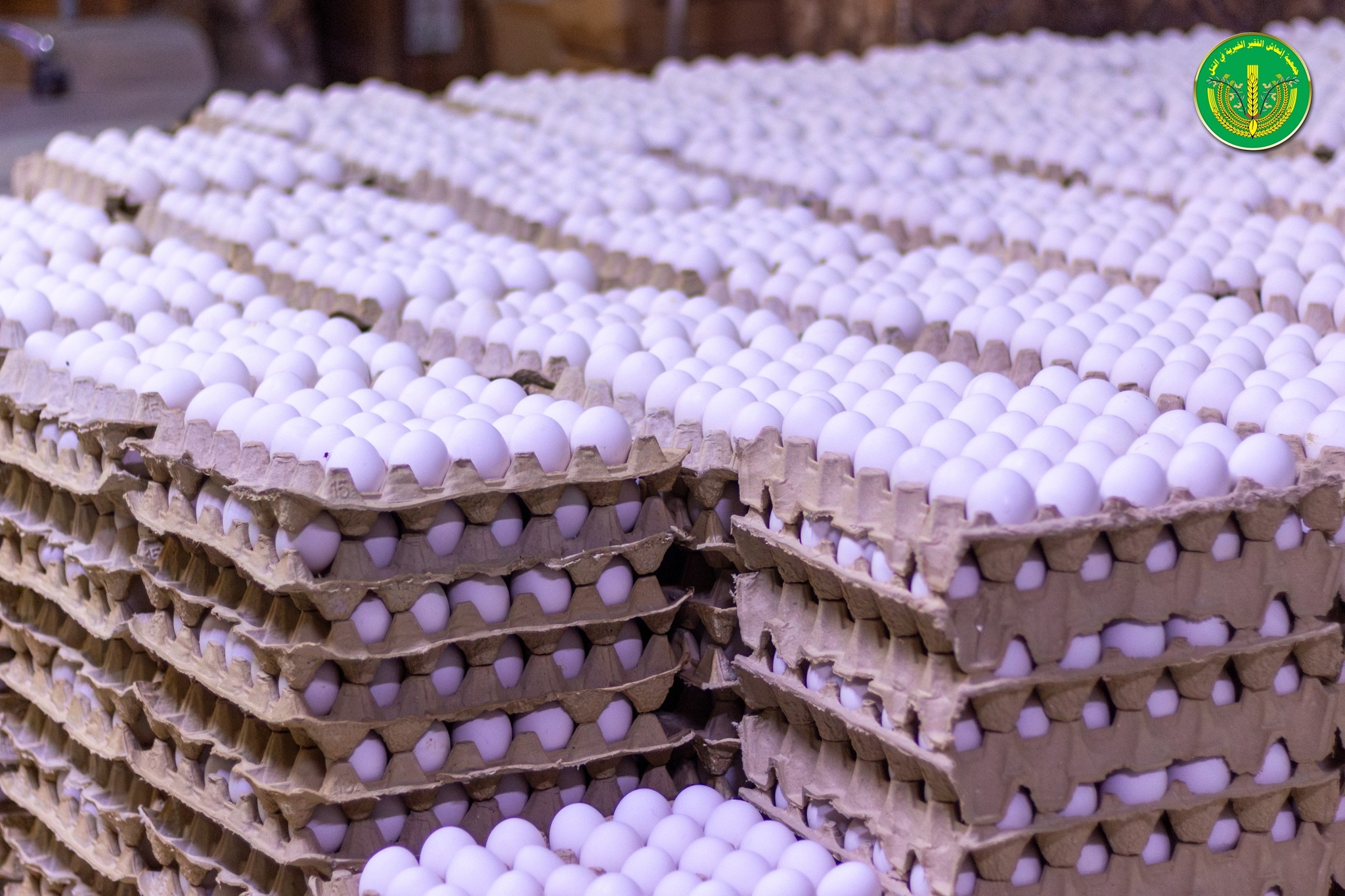 الانتهاء من توزيع المساعدات المالية والعينية للشهر الرابع للمدرجين والأيتام.💚✨